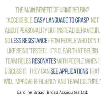 Psychometric-Assessment-Behavioural-Tools-Belbin.jpg