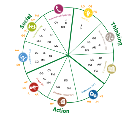 Caravela Team Role Circle