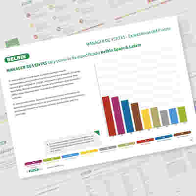 Pagina de Informe Manager de Ventas