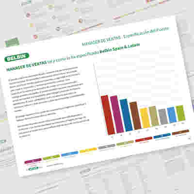 ES - Belbin Job Report Sales Manager Job Specification Showcase