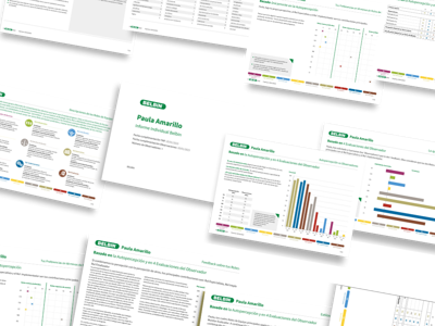 Los Roles de BELBIN Informe