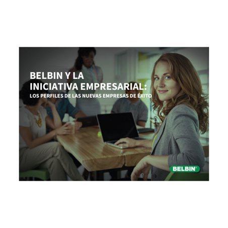 Belbin Y
