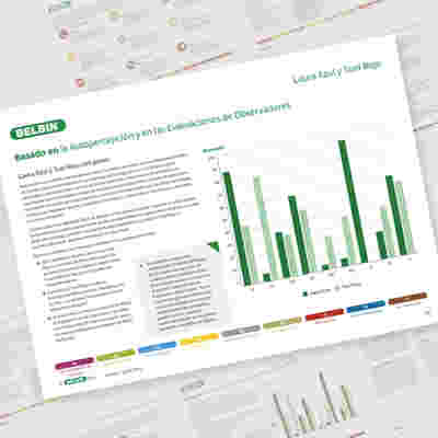 Informe De Complementariedad De PARES3