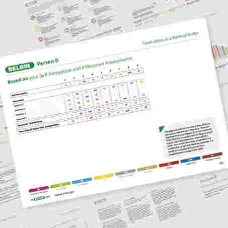 Belbin Web Showcase Individual Persond 09